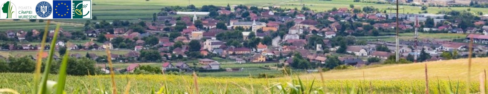 Acasă